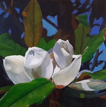 Fiore di magnolia